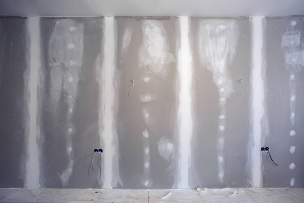 Best Ceiling Drywall Installation  in Rothschild, WI